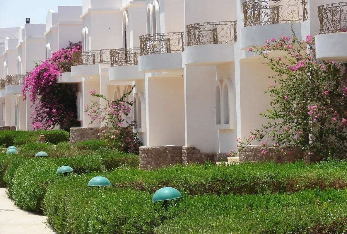 Zaafarana Hotel 4* суреті